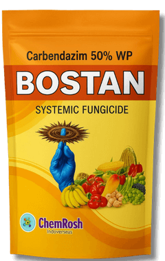Bostan
